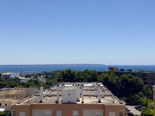 Estudio en venta en Cala Mayor, Mallorca