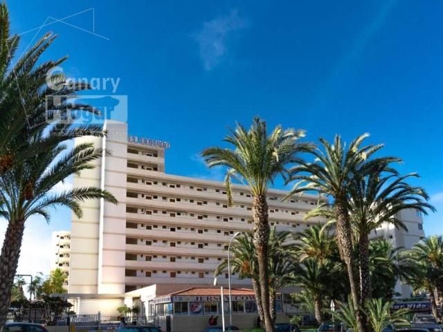 Estudio en Venta en Playa de las Américas