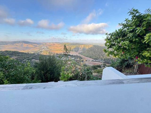 Estudio en Venta en Vejer