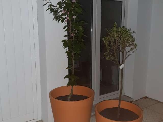 Estúdio para alugar em Almada, Lisboa