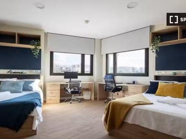 Estudio Twin en la Residencia de Estudiantes en Sevilla