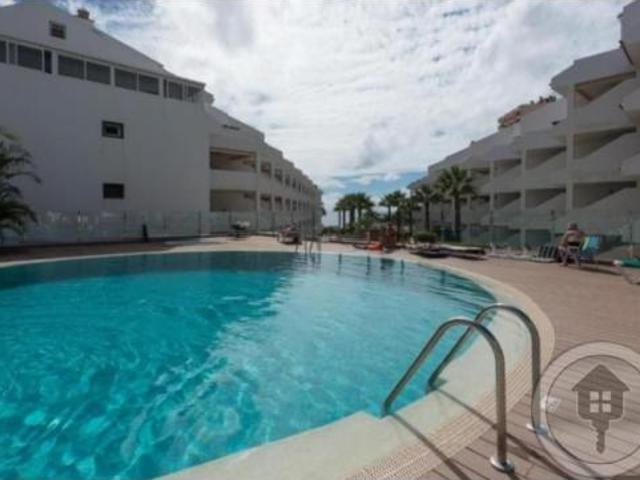 Estudio Venta Arona, Los Cristianos