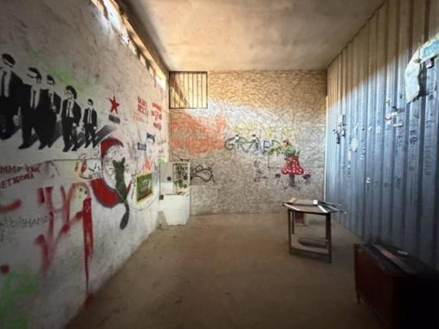 Estudio Venta Blanca, Blanca