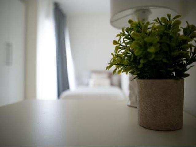 Estudio Venta Godella, Godella