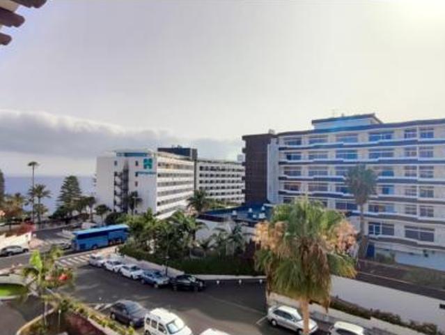 Estudio Venta Puerto de la Cruz, El Botánico