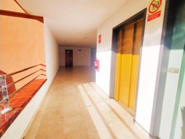 Estudio Venta Puerto de la Cruz, El Botánico