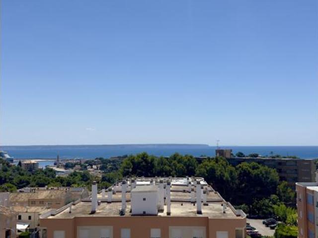 Estudio Venta Palma de Mallorca, Cala Major