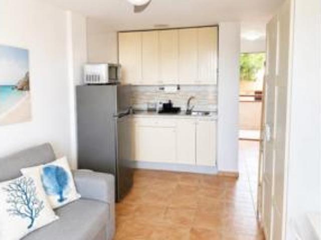 Estudio Venta Pilar de la Horadada, Mil Palmeras