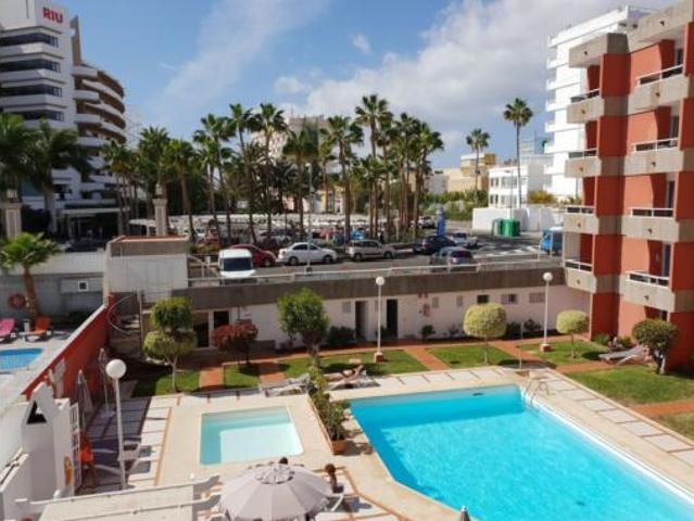 Estudio Venta San Bartolomé de Tirajana, Playa del Inglés
