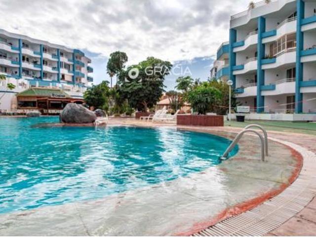 Estudio Venta San Miguel de Abona, Golf del Sur