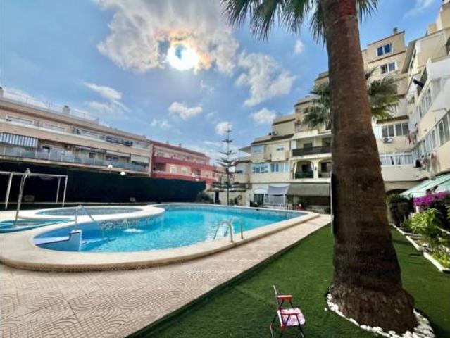Estudio Venta Torrevieja, Nueva Torrevieja