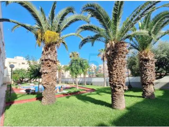 Estudio Venta Torrevieja, Playa del Cura