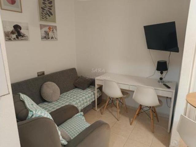 Estudio Venta Vícar, La Envía