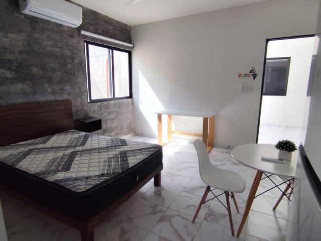 Estudios en Renta En Dzitya Merida Yucatan