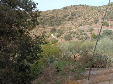 ESTUPENDA PARCELA CON VISTAS ESPECTACULARES Y CASA DE CAMPO EN OLIAS MÁLAGA