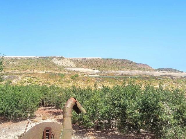 Esta finca está dividida en dos parcelas y se encuentra just. m² Villa de Arico