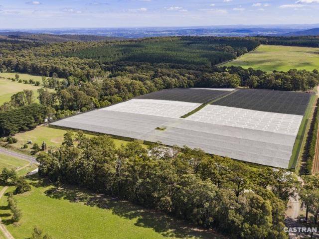 Established 44ha Yarra Valley Fringe Holding with Commercial Berry Production, Secure Water and Residential Accommodation