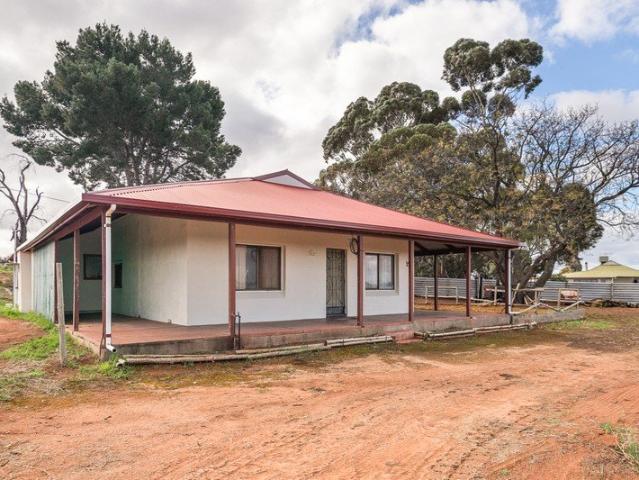 Established Vineyard & Character Home
