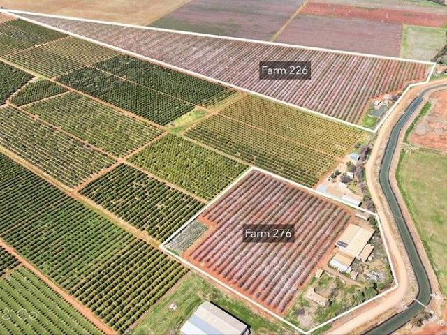 Established Almond Farms with Industrial Shedding