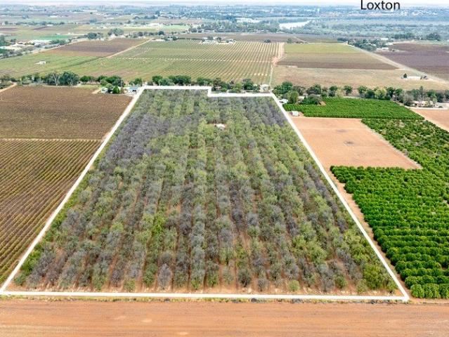 Established Almond Orchard in a Premier Horticultural District