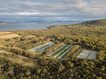 Lady Barron, Flinders, Tasmania, Cloudy Bay, Kingborough, Tasmania Island
