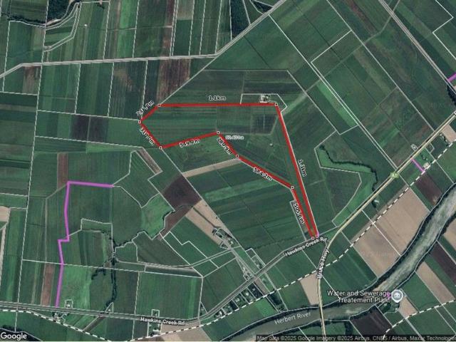 ESTABLISHED CANE FARM HAWKINS CREEK!