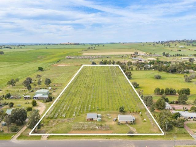 Established cherry tree orchard & family home set on 10acres!