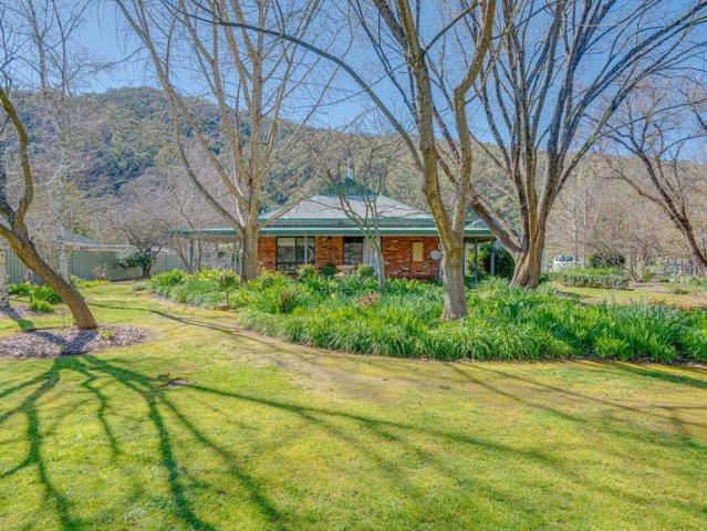 Established Country Living with Space, Gardens & Shedding