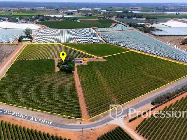 Established Dried Fruit Holding on 21 Acres