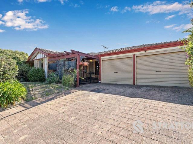Established Family Living with an Exceptional Outdoor Entertaining Area