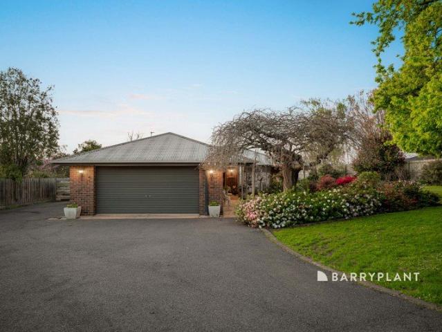 Established Gardens on 1,707m², Quiet Court Dream Home Opportunity