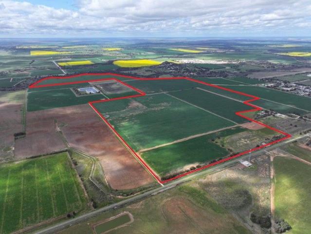 Established Irrigation Property