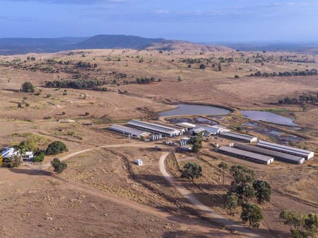 Established North Burnett Pig Production Enterprise With Secure Water
