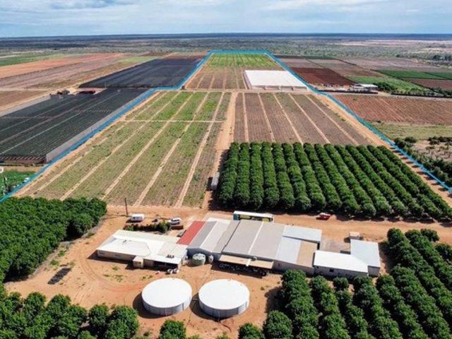 Established Plantation with Scale & Flexibility
