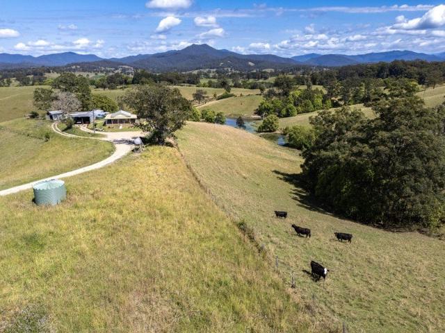 Established Quality Rural Property in one of the most fertile and beautiful areas in NSW