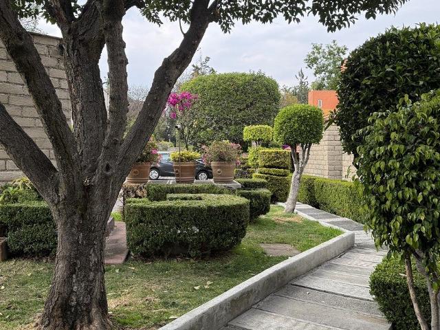 Estas buscando un Tesoro?