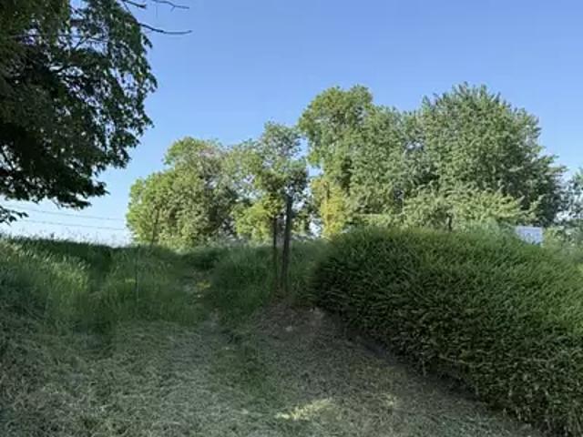 Estourmel 59400 Programme neuf maison neuf à vendre 5 pièces