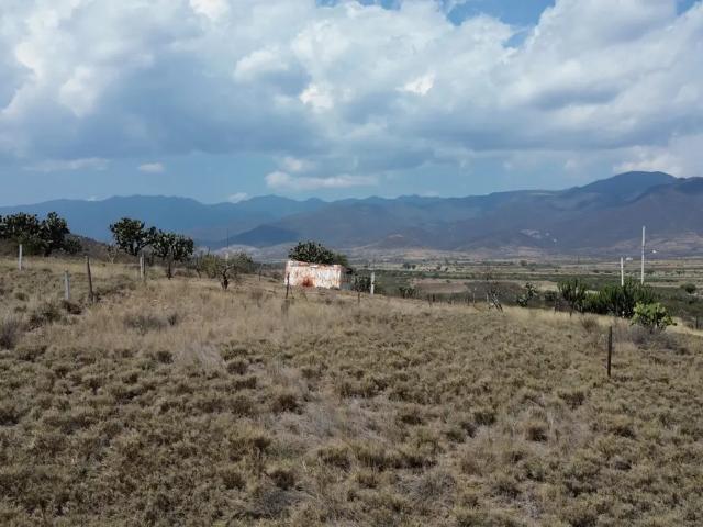 ESTRATEGIA Y AMPLITUD EN EL VALLE DE TLACOLULA
