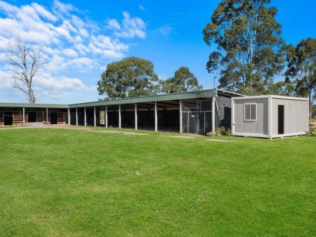 Equestrian opportunity