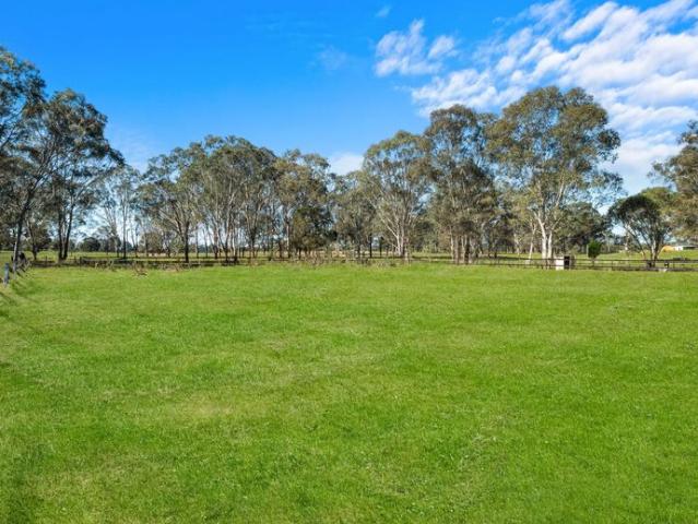 Equestrian opportunity