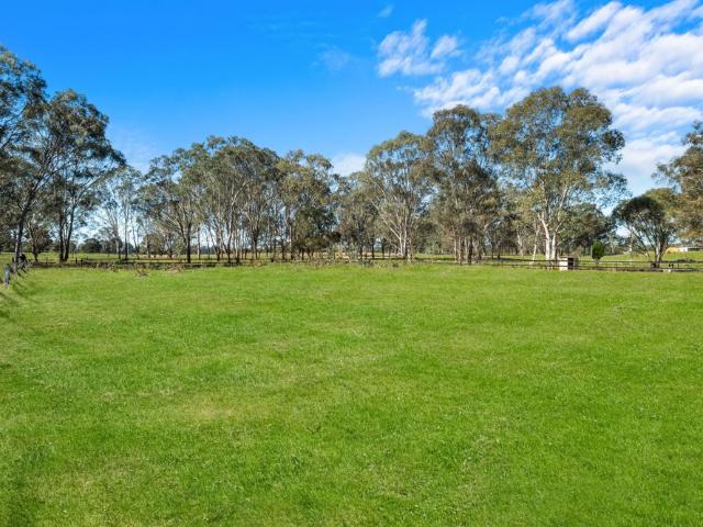 Equestrian opportunity