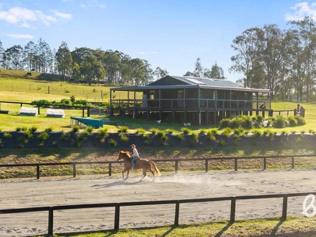 Equestrian Excellence Meets Abundant Country Living