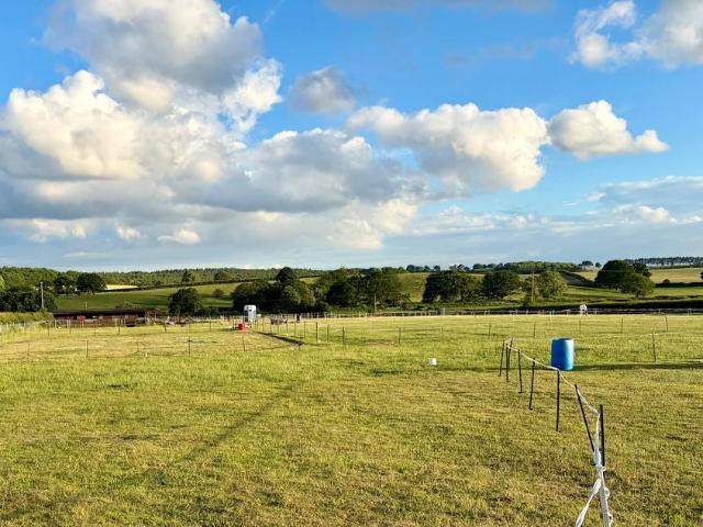 Equestrian facility for sale