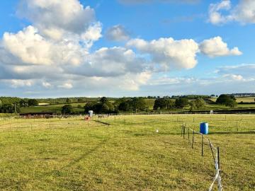 Equestrian facility for sale