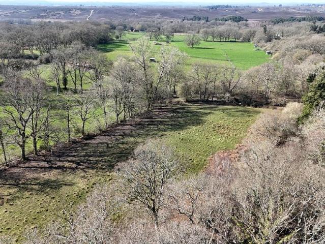 Equestrian facility for sale