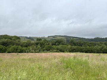 Equestrian facility for sale