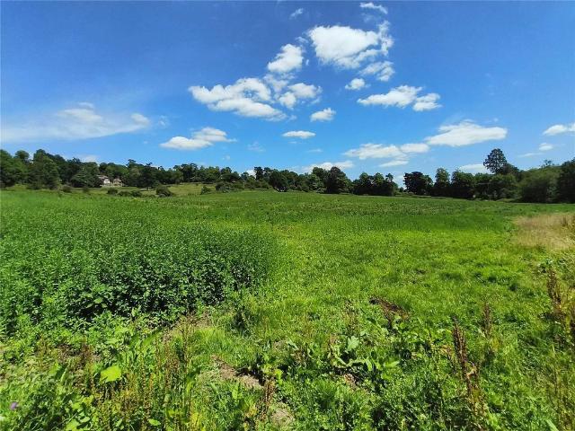 Equestrian facility for sale
