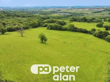 Equestrian facility for sale