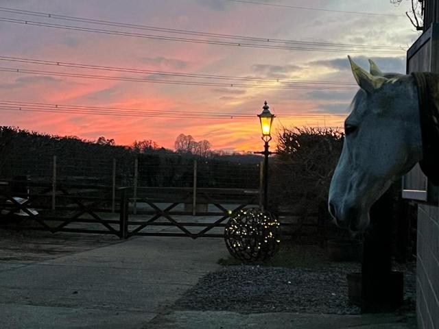 Equestrian facility to rent