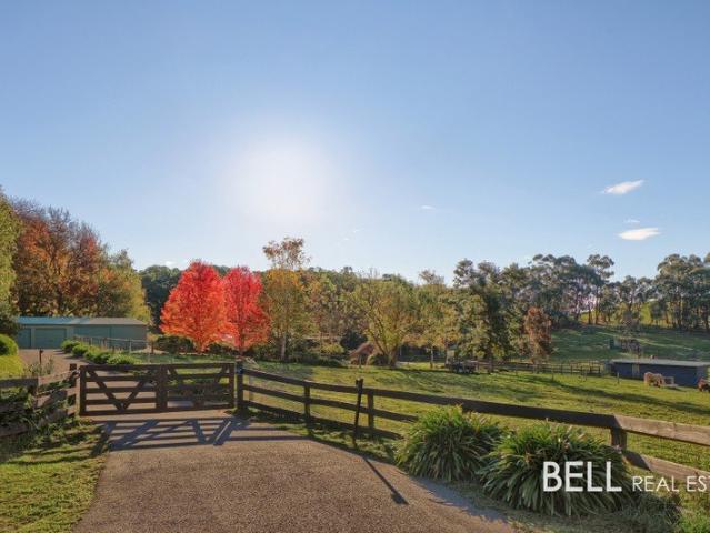 Equestrian Lifestyle on 12 Acres in Macclesfield Horse Country